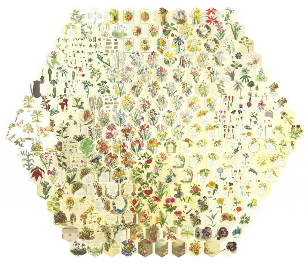 Mario Klingemann, 251 Random Flowers Arranged by Similarity